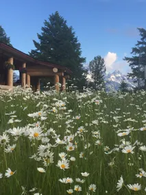 Luxury Cabin on Historic Ranch With Teton Views - Image 3