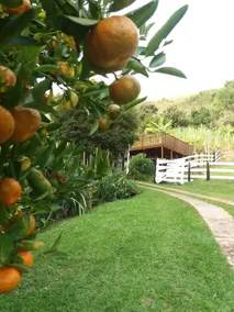 Sítio da Dinda - Campos do Jordão - Image 5