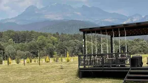 Floresta Casa de Campo - Image 2