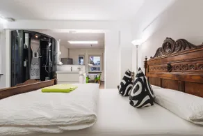 Modern 1 room Loft City Center Ground Floor - Image 4