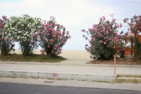 Paralia House Right Across The Seaside - Image 5