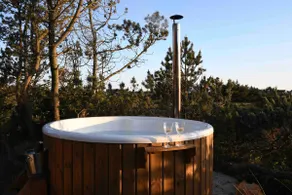 Idyllic summer house by the North Sea with spa - Image 3