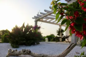Private Country Villa · Garden, BBQ · 18 min Beach - Image 4