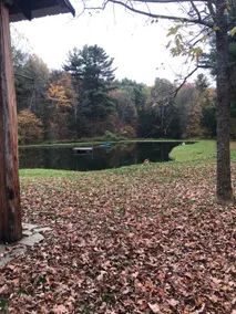 Private Cabin and Pond Property - Image 3