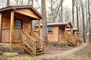 Rock & Roll Mini Primitive Cabin - Image 4