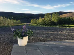 Scenic farmhouse in Hvalfjörður - Image 4