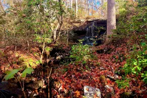 Oakleaf Hideaway | 20-Acre Cottage by Desoto - Image 4