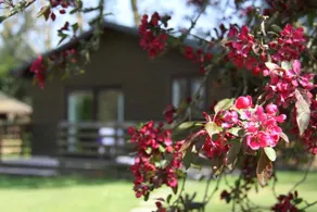 An Oasis of Tranquility - Image 2