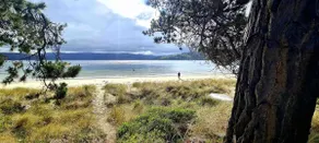 Bruny Island Beachside - family friendly stay - Image 3