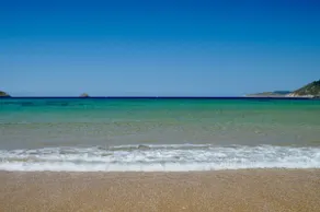 Beachside Oasis of Love - Image 2
