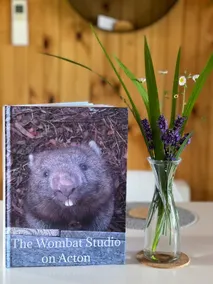 The Wombat Studio on Acton | Close to airport, beaches, tranquil private setting - Image 5
