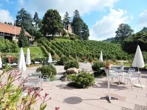 Wine Lodge Durbach - Castle View - Image 5