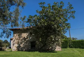 Village House Rubio's House - Image 2
