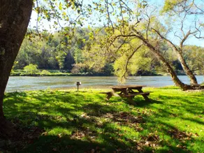 The River Roost - Image 5