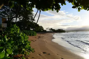 Makani A Kai A9 romantic beachfront Maui, pool,a/c - Image 4