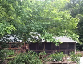 Holyfield Cabin and Bunkhouse - Image 3