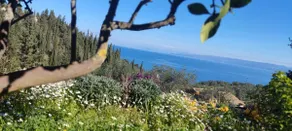 Villa Estia - Image 2