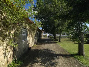 Stone Houses - Eira House - Image 5