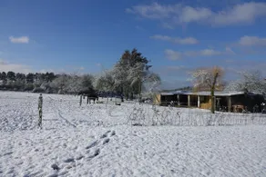 Moderne villa i Rochefort tæt på hestene - Image 5
