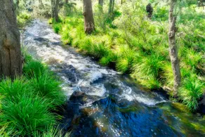 The Junction Canyonleigh. Idyllic Weekends - Image 3