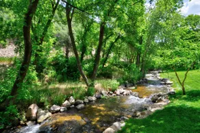 Vivian Park, Provo Canyon 5 Bedroom 3k sq ft cabin - Image 2