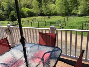 Alpaca Farmstay & Dark Skies, PA Wilds -Lumber Heritage  Region. Pet-Friendly! - Image 5