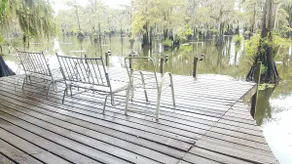 Pine Island Paradise - Image 5