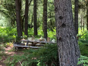 Log Cabin w/Treehouse & Zip Line on Rogue River - Image 4