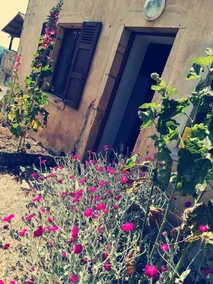 Charming house, 65 km from Lyon, Haut Beaujolais. - Image 3