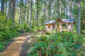 Cabine privée dans les bois (fièvre de la cabine) - Image 4
