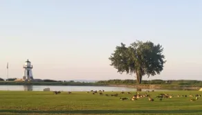Lake Erie Retreat - Image 2