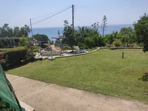 Paradise - Image 2