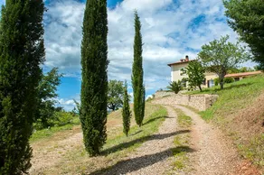Das Apartment wird Ihnen einen traumhaftes Erlebniss in der Toscana verwircklichen - Image 5