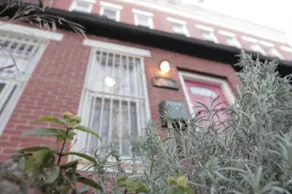 Cozy private 1.5BR Garden Apartment w/ backyard - Image 2