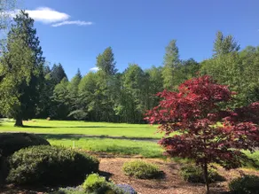 Fly till Whispering Woods # 454 !! --- Mt. Hood Village, OR - Image 3