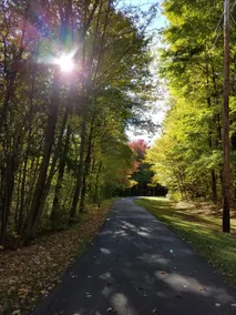 Private Wooded Retreat close to Cornell - Image 2