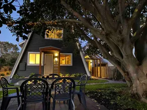 Figtree at Fingal Bay - Image 2