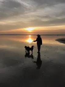Dog friendly, minutes from coast - Sleeps 4 - Image 4