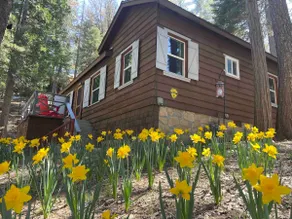 Antlers Point Cabin Lake Arrowhead - Image 3