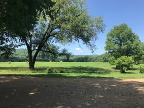 Slap af i Ozarks - Image 4