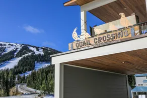 Luxury Mountain Home for a Fresh Air Experience!!! - Image 4