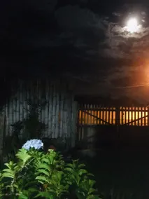 Place in deep Goiás: Suyan's place - Image 2