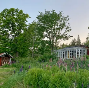 Charming cottage in beautiful courtyard environment Vikbolandet - Image 3