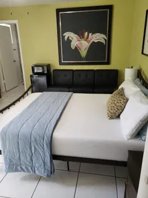 Wynwood Miami Tropical Hideaway Guest Suite - Image 5