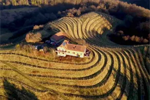 Wine Estate on Private Hill, luxury in style - Image 5