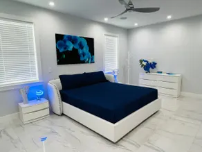 Paradise Suite Near Raymond James Stadium - Image 2