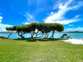 Vibrant Beachfront Villa - Image 2