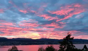 THE Lakeview House in Zurich - Image 4