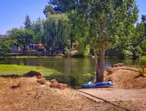 Best Fishing  in Clearlake Oaks at the Bass house. . . By the water. - Image 5
