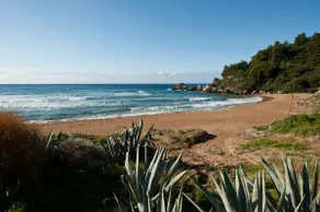 Aphrodite - Beachfront House - Recently renovated - Image 2